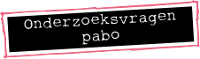 Onderzoeksvragen pabo